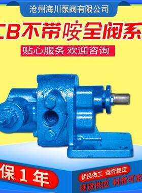 高粘度电动CB齿轮油泵铸铁CB10/1.45润滑油输送小型自吸齿轮泵