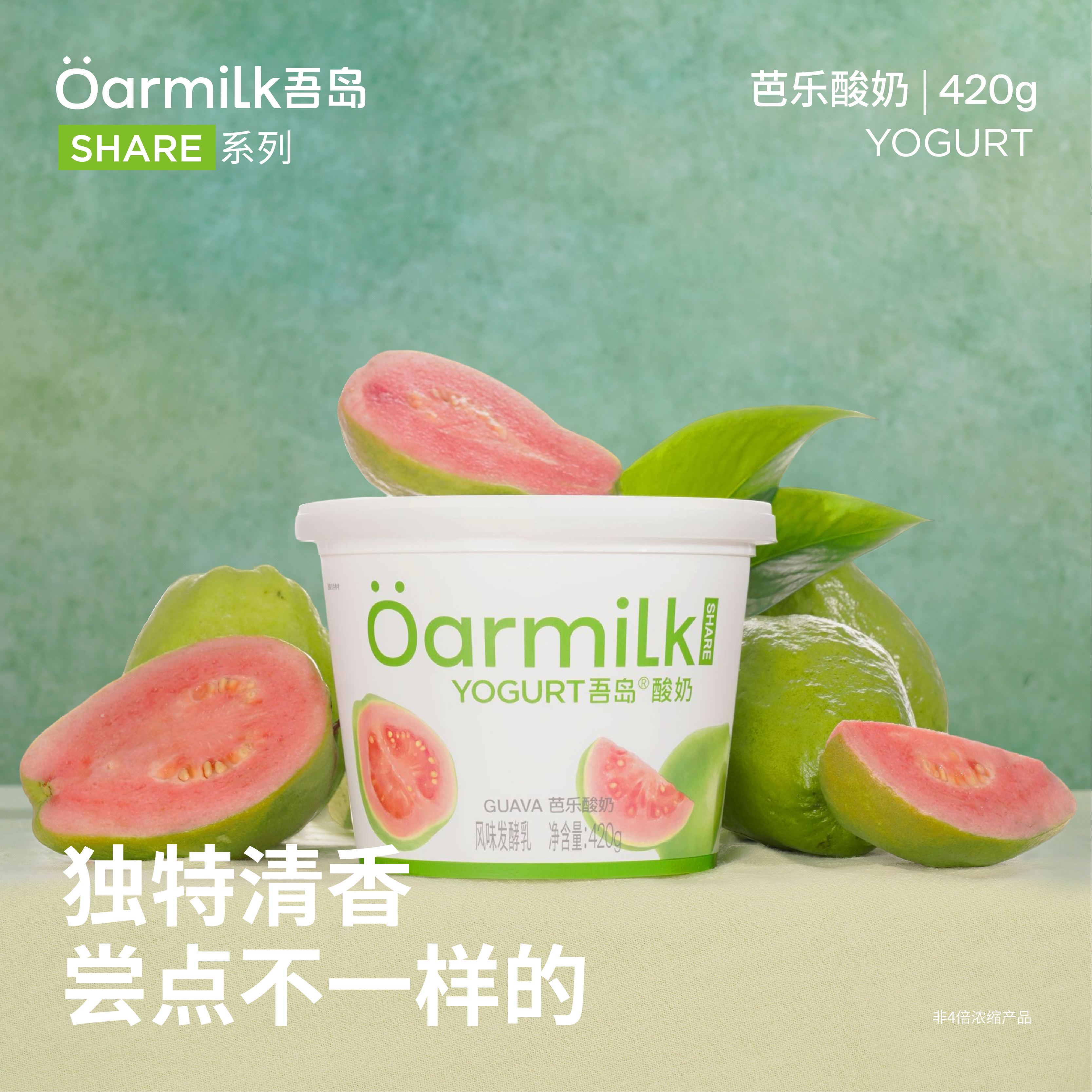 【官方直发】吾岛酸奶芭乐生牛乳发酵0乳糖低温酸奶420g*4桶,咖啡/麦片/冲饮,低温酸奶,淘宝优惠券,粉丝福利购,淘宝优惠卷