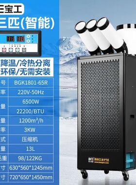 bge宝工工业冷风机移动空调一体机压缩机制冷厨房降温冷气机商用