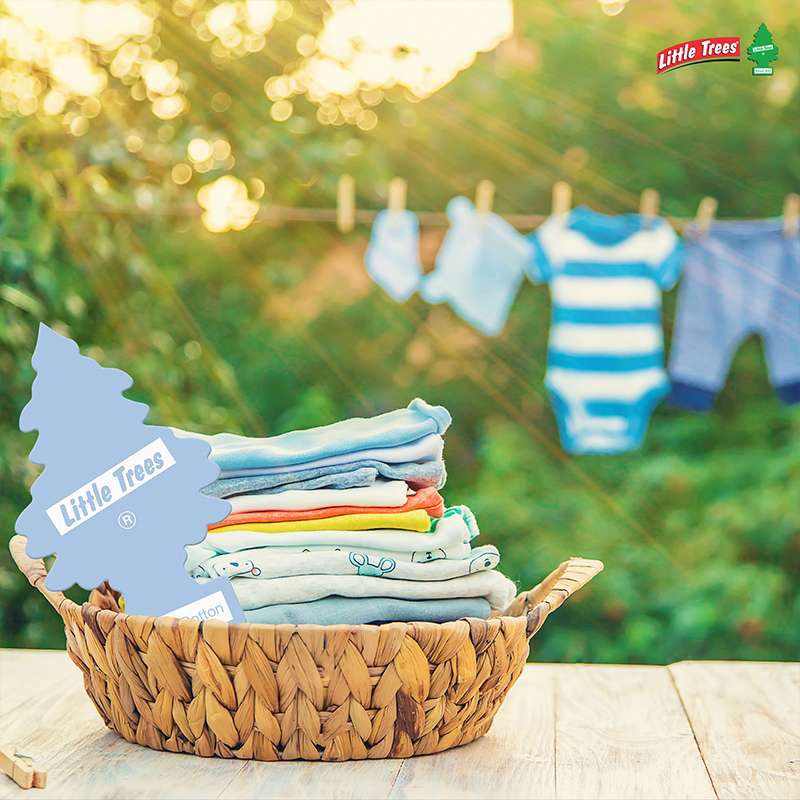 LittleTrees/小小树汽车车载香片香薰香片创意香薰车载去异味挂件