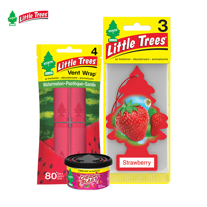 LittleTree美国汽车香片车载