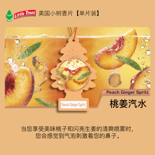 车载香氛车内香片挂件进口