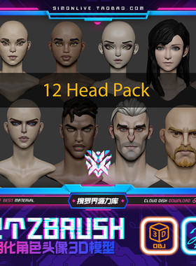 BW36-12个ZBRUSH风格化卡通人物角色头像ZTL+OBJ 3D模型资源素材