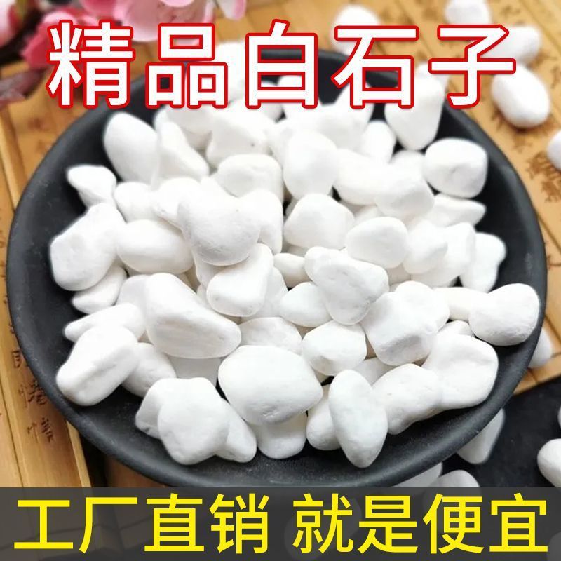 小白石子多肉铺面石头养花鹅卵石雨花石鱼缸造景盆栽庭院铺路