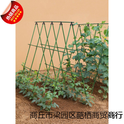 黄瓜爬藤架豆角架杆西红柿架种菜蔬菜搭棚子架植物支撑杆包塑钢管