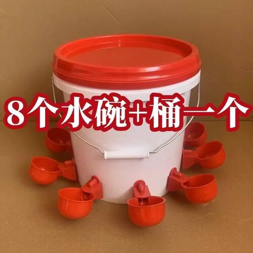 家禽自动饮水器鸽子养鸡水壶新款鸭子鹅喂鸡自动饮水器饮水碗