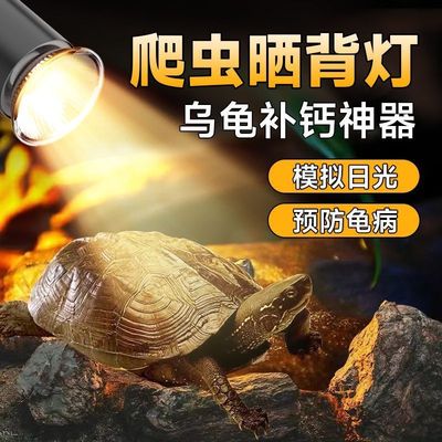 乌龟晒背灯灯架爬宠UVB+UVA全光谱太阳灯支架带夹子爬虫万向灯架
