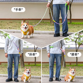 宠物狗狗牵引绳遛狗绳子中型犬小型犬柯基柴犬防挣脱可调节牵引绳