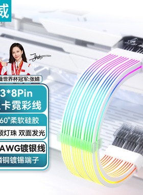 臻威 发光线24Pin主板延长线ARGB霓彩灯效2x8/3x8显卡线16Pin