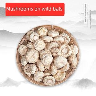 口蘑干货250克蘑菇坝上白蘑菇自然风干无硫健康炖肉煲汤食材