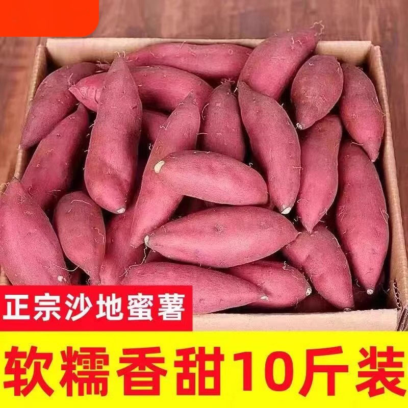 正宗陕西沙地板栗红薯新鲜农家自种黄心蜜薯香薯白心番薯糖心地瓜