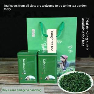 山东泰安特产泰山女儿茶山云绿茶2罐一袋