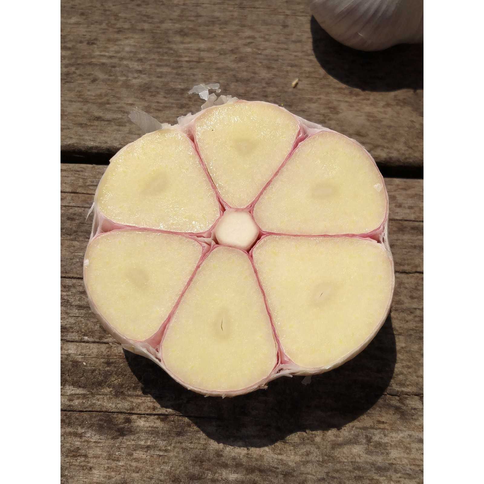 23年苍山大蒜四六瓣山东新鲜干蒜头兰陵老品种笨白皮蒜子大瓣