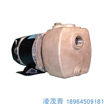 OBERDORFER 离心泵 Centrifugal Pumps 300B 750B 75PB 30PB