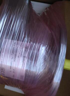 无轴承编码器HOGS100S-B66.615.05000.1