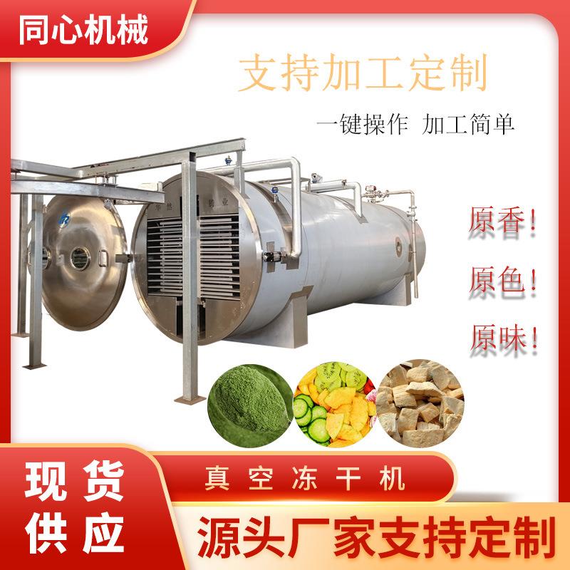 营养即食粥真空冻干机汤料包冷冻干燥机红枣脆枣冻干设备多用途