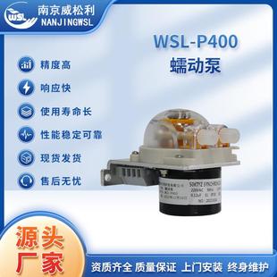P400蠕动泵冷凝器排水泵CEMS在线监测配件真空排水泵 WSL