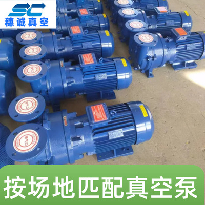 SBV-51水环式真空泵 污水厂真空引水真空泵 穗诚保修免费安装