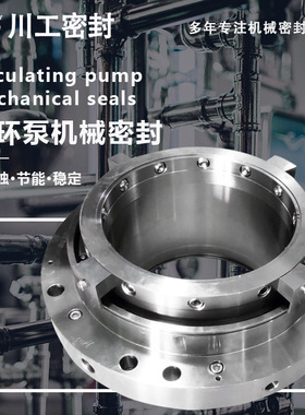 强制循环泵机械密封\泵型号:ZWQEMZ-500-B1-650\WQEMZ-600-B1-510