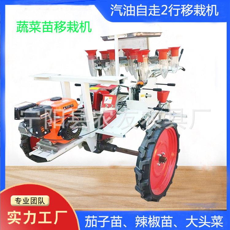 小香葱移栽机移栽铺膜滴灌一体机自走式汽油蔬菜苗移栽机行双行
