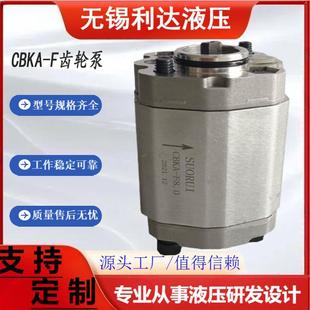 F3.2 F1.2 F4.2 F0.63 F2.1 F2.6 F4.8 升降机齿轮泵CBKA F1.6