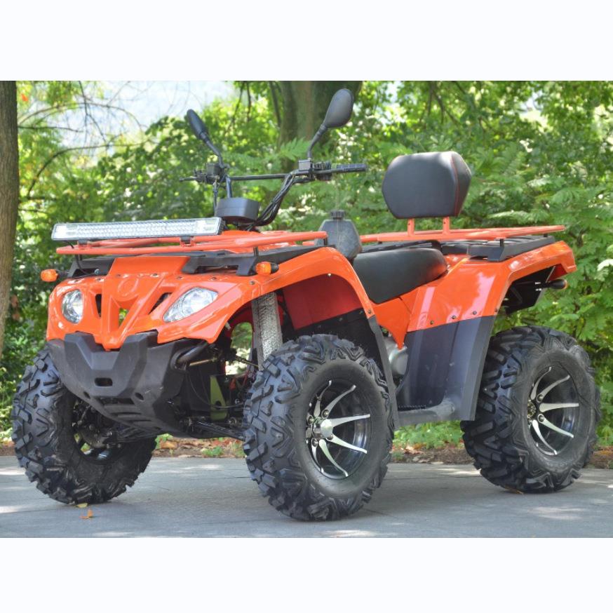 ATV/UTV 300CC 燃油型2座成人全地形越野车四轮摩托车沙滩车