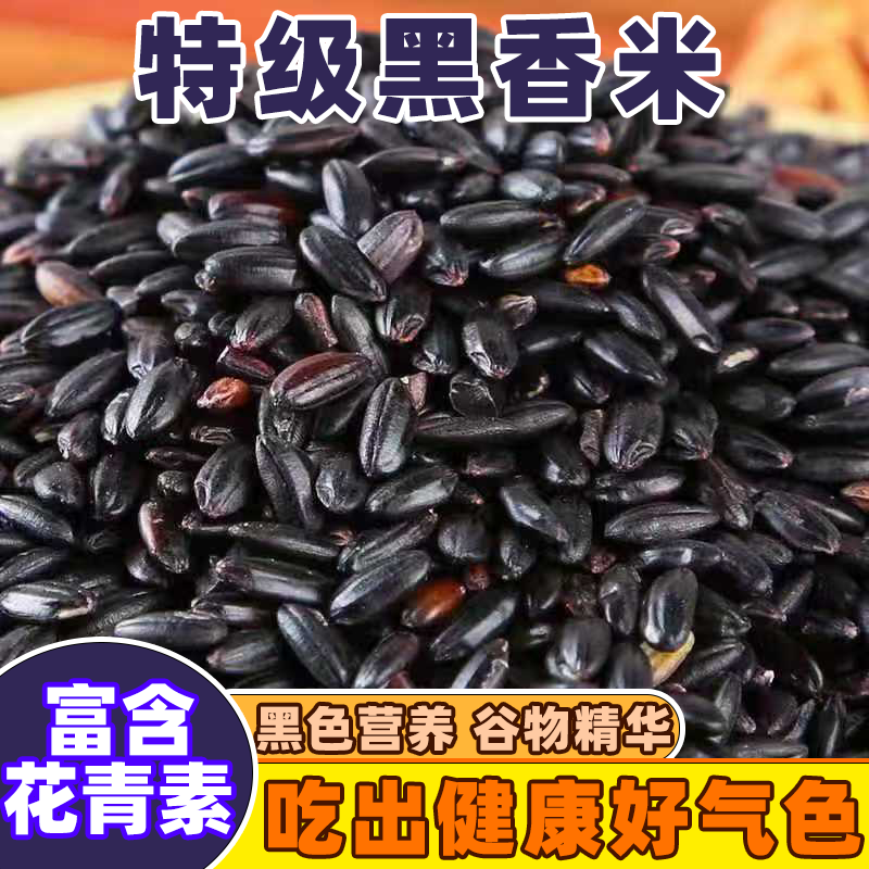 当季黑米新米正宗五常黑米农家优质黑米粗粮血糯米煮粥煲饭做甜品