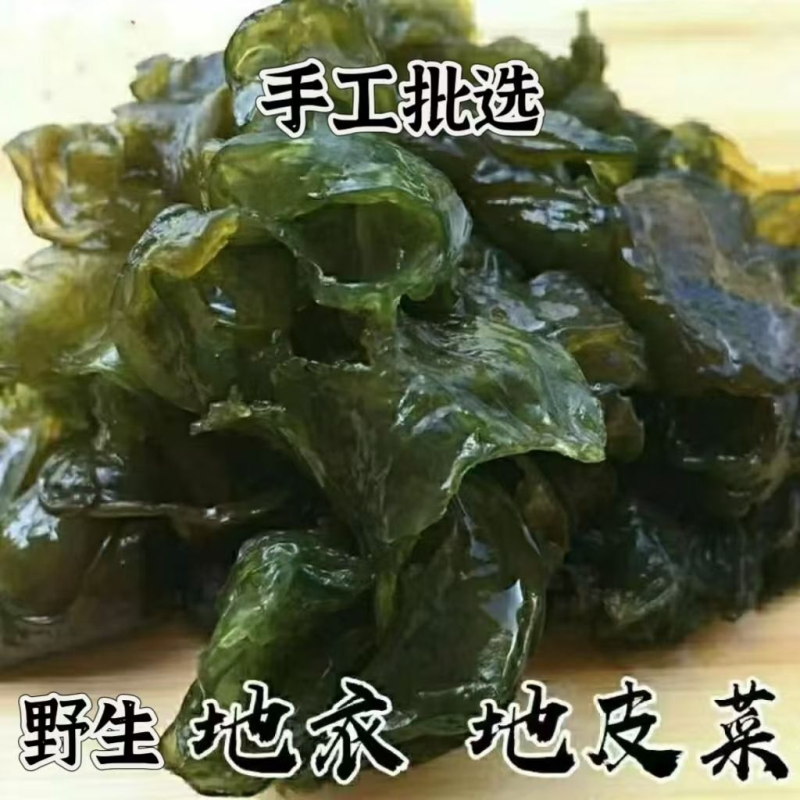 甘肃会宁纯野生免洗干地皮菜干地软地衣地木耳地达菜天然野菜地皮