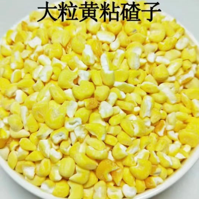 【黄粘大碴子】东北新鲜粘玉米碴去皮玉米粒粒甄选大碴子煮粥