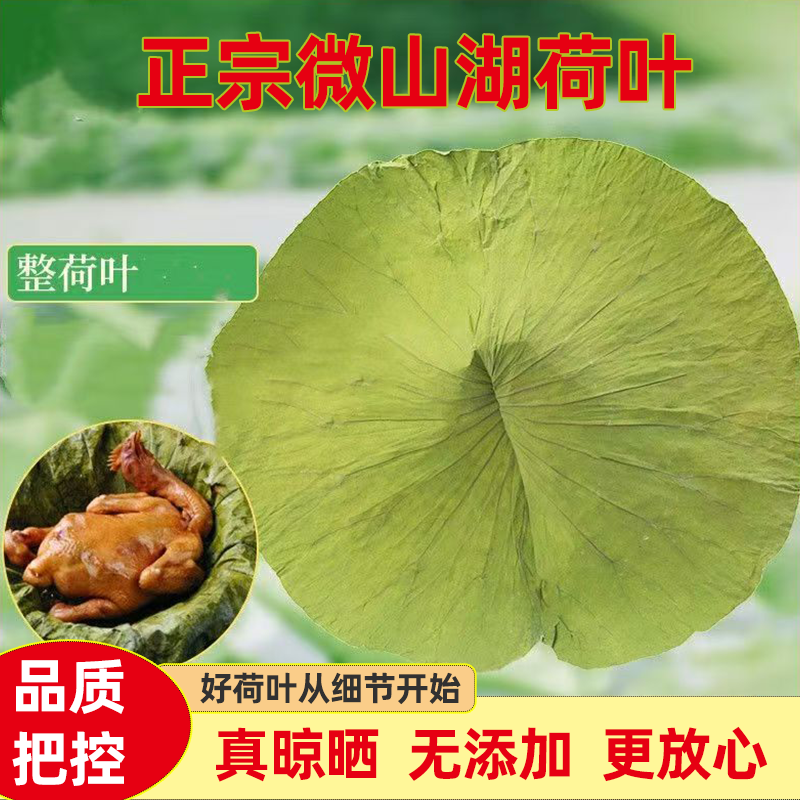 微山湖野生整张荷叶干莲叶大莲花茎莲茎糯米鸡叫花鸡荷叶粥米饭