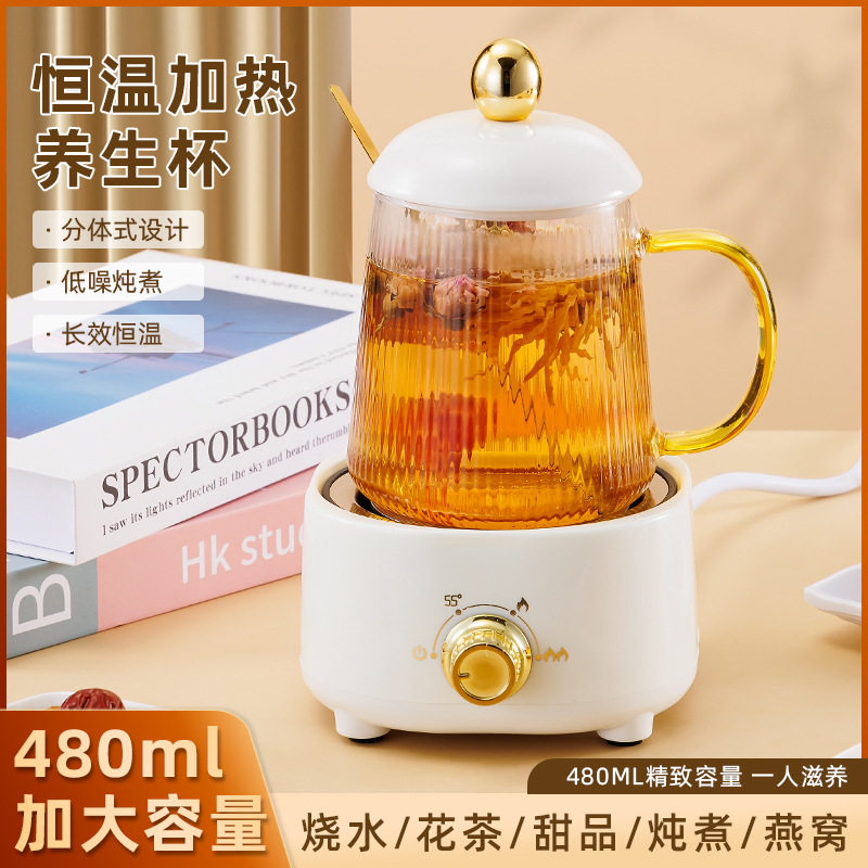 多功能养生壶电炖杯迷你玻璃电热水杯办公室花茶加热杯家用养生杯