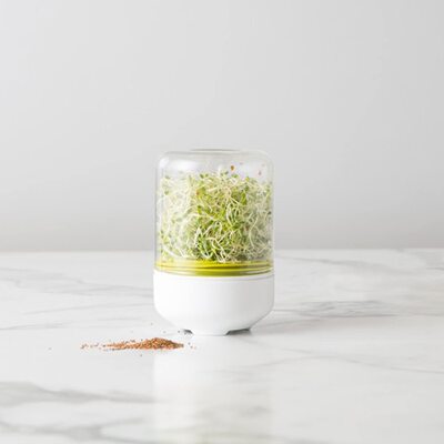 Sprouter Growing Kit豆芽机发芽育苗盆豆芽罐盆植物发芽工具