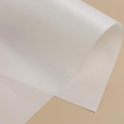 帆船布高强涤纶 碳纤维夹网 轻型飞机布料冲浪风帆冲浪水翼面料