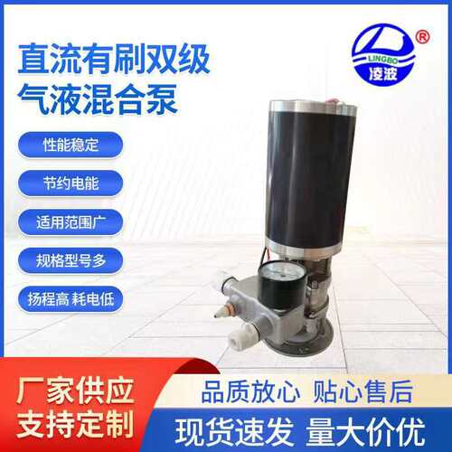 凌波8ZTDB-40不锈钢微型立式气液混合泵有刷直流220V混合泵超静音