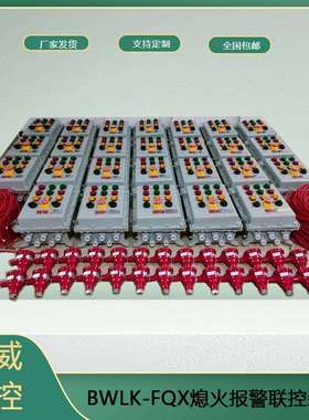 搪瓷窑火焰检测熄火保护装置BWLK-FQX