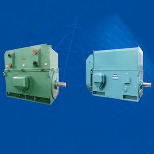 10KV 6KV 高压三相异步电机 1000 Y710