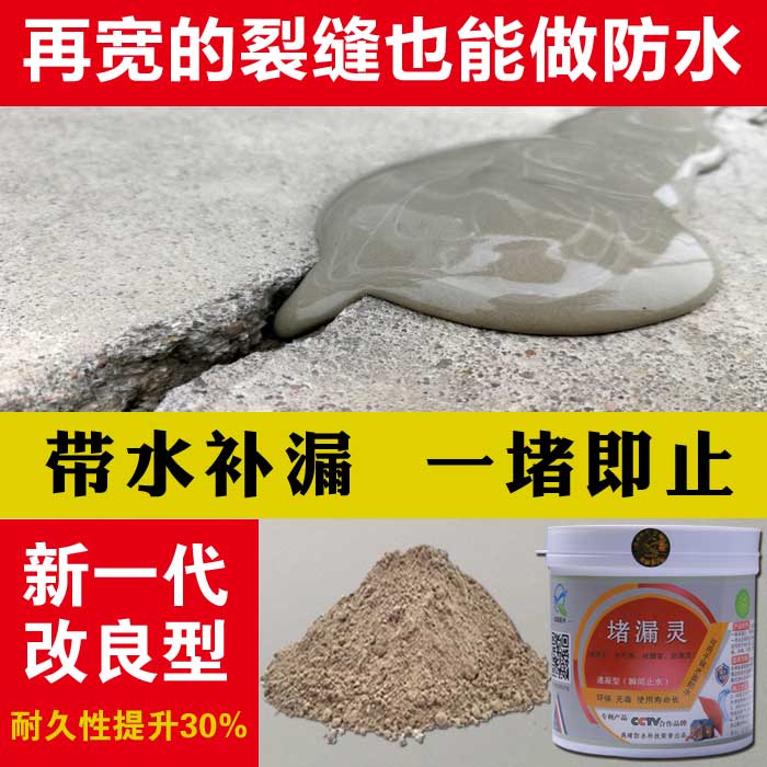 水不漏堵漏王快干水泥快速卫生间防水平房屋顶裂缝补漏胶防水材料