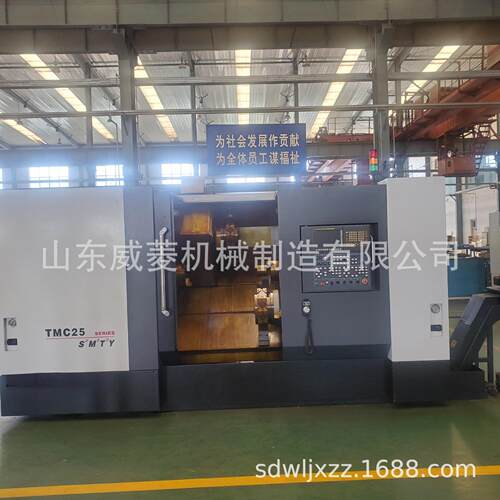 TSUGAMI沈阳厂家M06SY-IICNC斜车车床刀塔车床12面刀塔各刀位均可