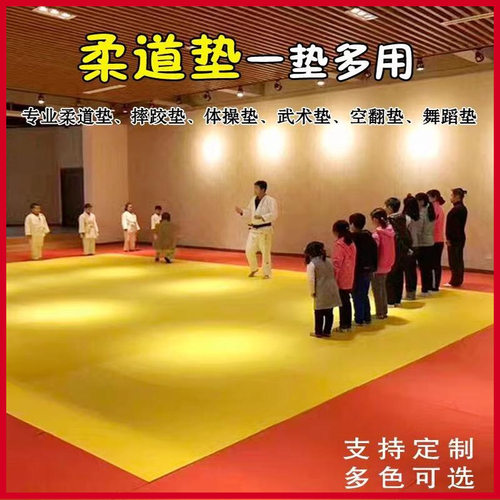 柔道垫榻榻米武术散打空翻体操垫搏击跆拳道摔跤比赛柔术练功垫