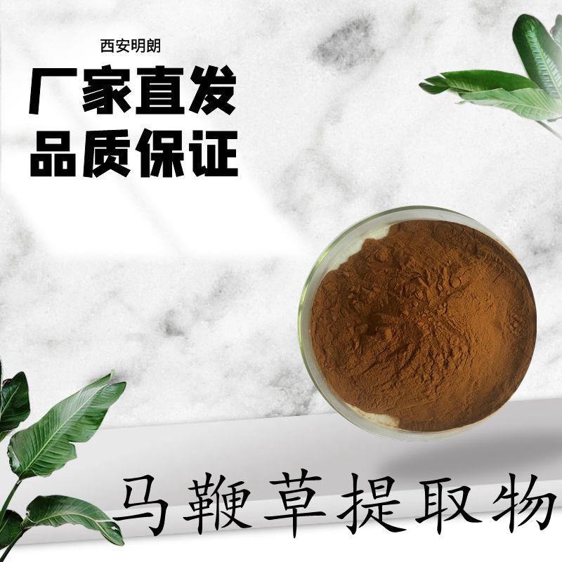 马鞭草提取物10:1凤颈草提取物马鞭草粉99%马鞭草苷包邮