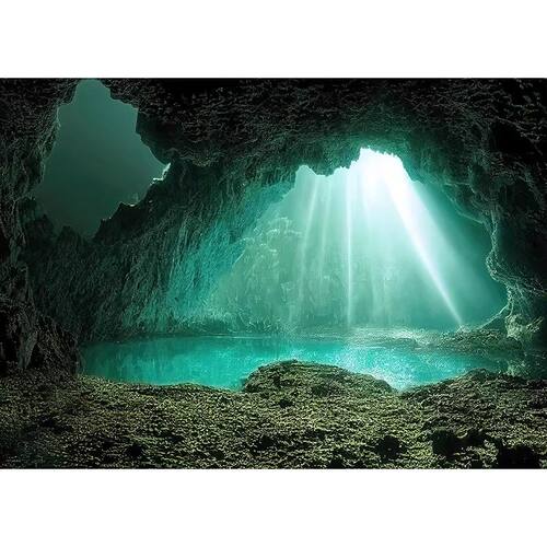 洞穴造景装饰画壁纸正胶不透光鱼缸背景贴纸3d立体高清图5d水族箱