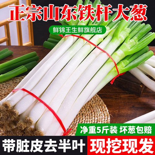 山东大葱精品毛葱商超品质去脏皮