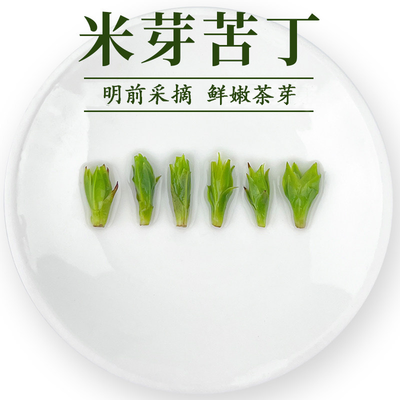 2026年四川明前头采小叶苦丁茶米芽新茶青山绿水早春嫩芽送手提袋