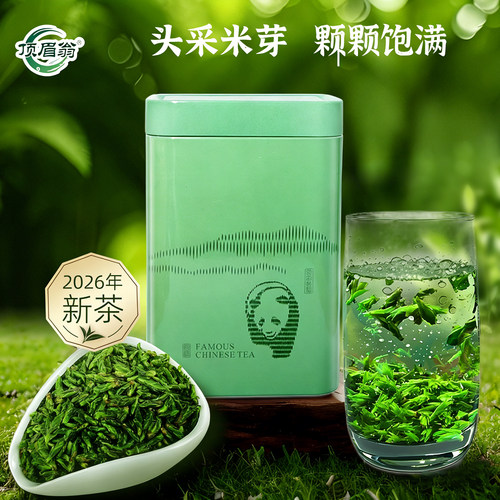 小叶苦丁茶叶特级250g罐装