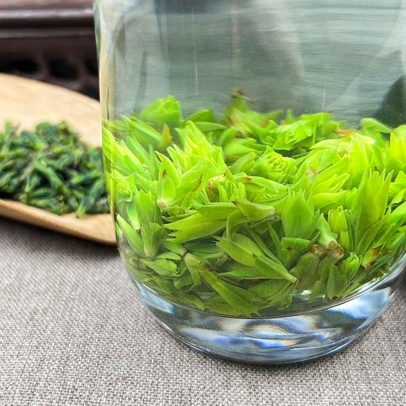 2025头采嫩芽小叶米芽苦丁茶