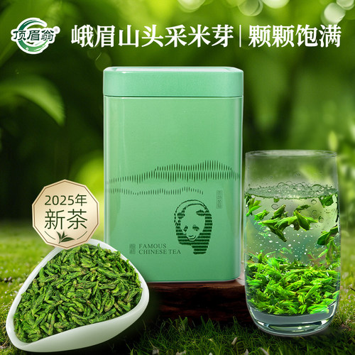 峨眉山小叶苦丁茶米芽苦丁2025新茶头采嫩芽明前特级青山绿水春茶