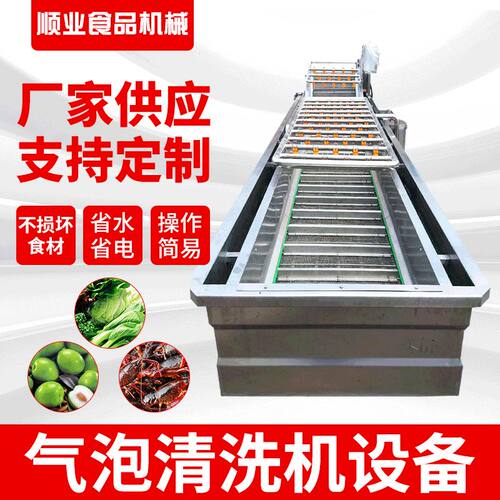 现货供应不锈钢气泡清洗机白菜喷淋清洗清洗机价格果蔬清洗机
