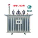 10KV三相浸式 高压电力变压器S11其他中国大陆