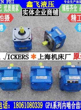 GPA2-10-E-20-R6.3 16 6 ICKERS内啮合齿轮油泵威格士 上海机床厂