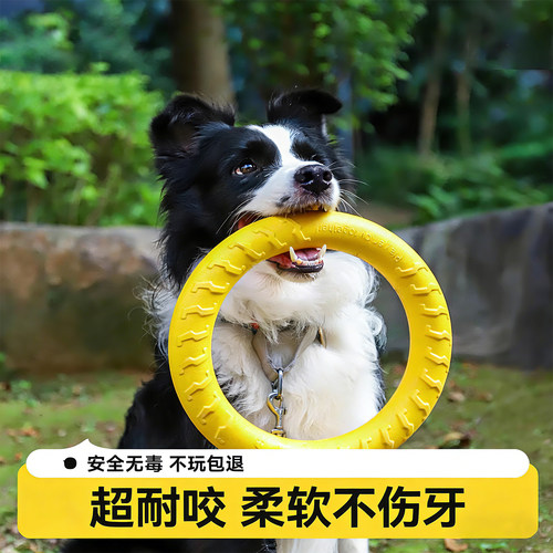 全网热销100W+狗狗玩具飞盘